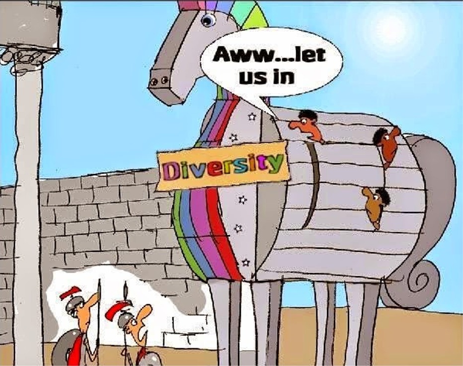 memes - destruction of diversity - Aww...let us in Diversity