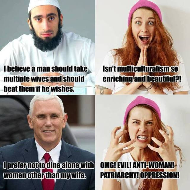 memes - feminist muslim meme - I believe a man should take multiple wives and should beat them if he wishes. I Isn't multiculturalism so enriching and beautiful?! I prefer not to dine alone with Omg! Evil! AntiWoman! women other than mywife. Patriarchy! O