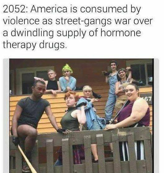 memes - evergreen state college bats - 2052 America is consumed by violence as streetgangs war over a dwindling supply of hormone therapy drugs.