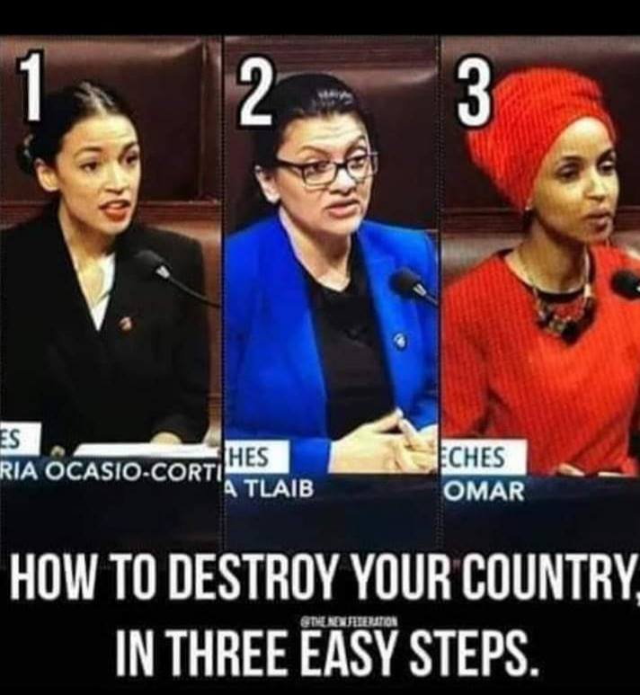 memes - walker art center - 2 5S Thes Ria OcasioCort Hes Ria OcasioCorti A Tlaib Eches Omar How To Destroy Your Country, In Three Easy Steps. Stebinieration