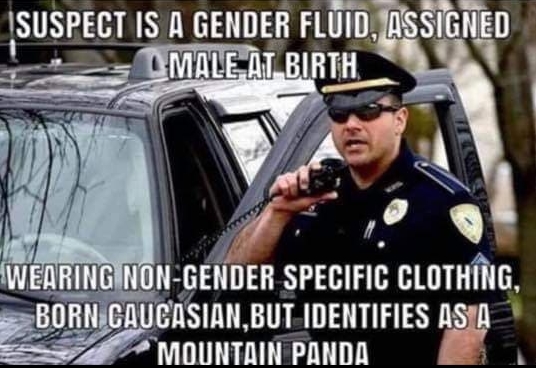 memes - 2019 police meme - Isuspect Is A Gender Fluid, Assigned Male At Birth Wearing NonGender Specific Clothing, Born Caucasian,But Identifies As A Mountain Panda