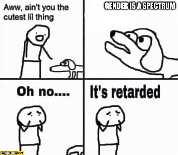 memes - not my president oh no it's retarded - Gender Is A Spectrum Aww, ain't you the cutest lil thing Oh no.... It's retarded imgflip.com Om
