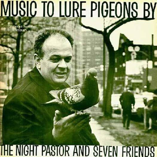 music to lure pigeons - Music To Lure Pigeons By Cheat Records Stare The Night Pastor And Seven Friends