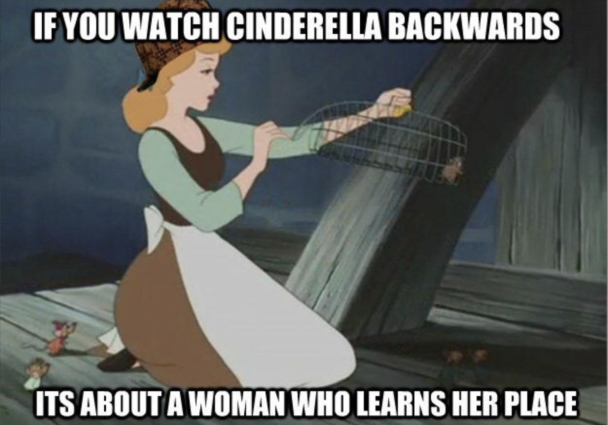 if you watch cinderella backwards meme - If You Watch Cinderella Backwards Its About A Woman Who Learns Her Place