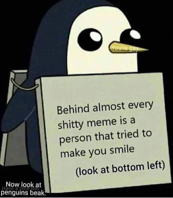 penguin meme - You're gay Behind almost every shitty meme is a person that tried to make you smile look at bottom left Now look at penguins beak.