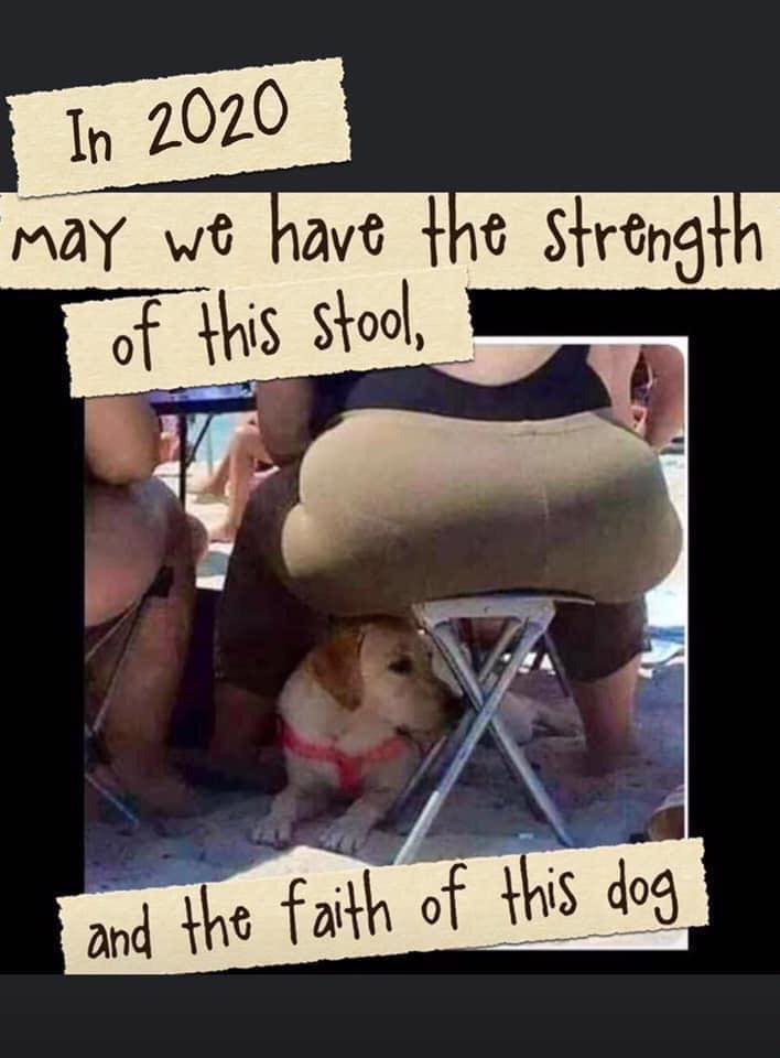 I In 2020 may we have the strength of this stool, and the faith of this dog
