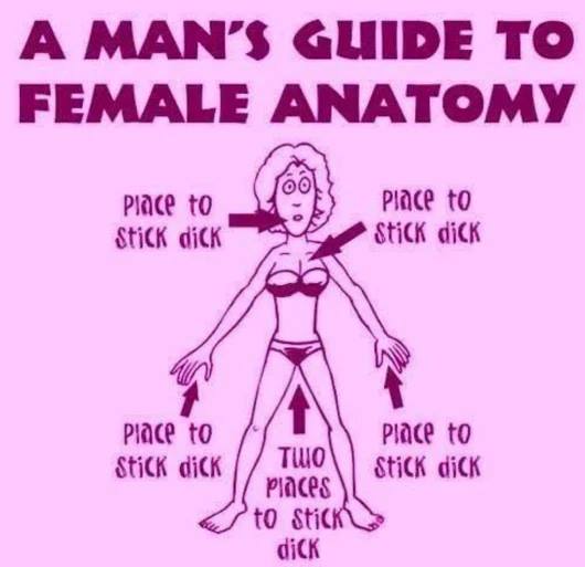 places to stick penis meme - A Man'S Guide To Female Anatomy Place to Stick dick Place to Stick dick Place to Stick dick Place to Stick dick Tion places to stick diCK