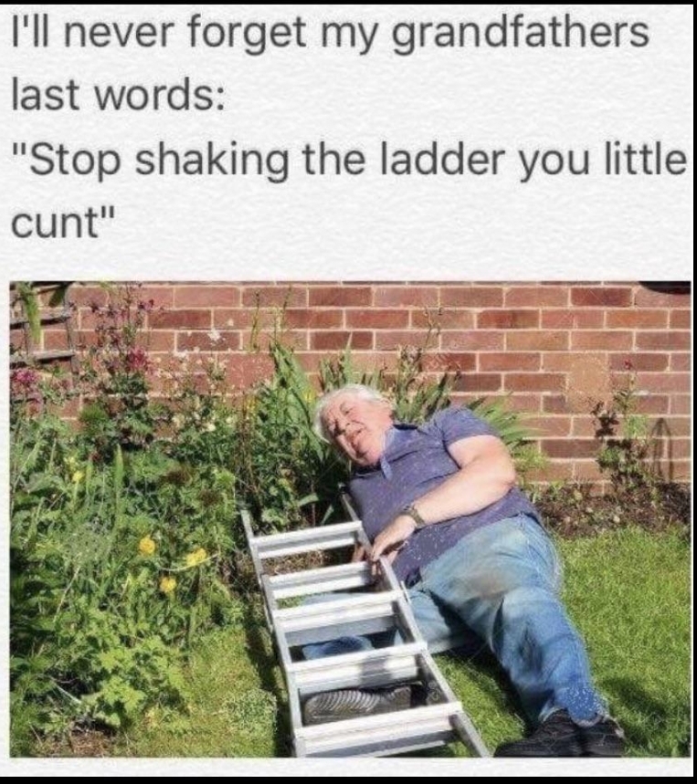 stop shaking the ladder you little - I'll never forget my grandfathers last words "Stop shaking the ladder you little cunt"