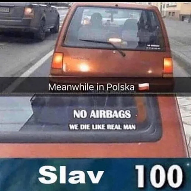 polish man meme - Meanwhile in Polska No Airbags We Die Uke Real Man Slav 100