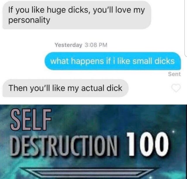 dank dankest memes memes - If you huge dicks, you'll love my personality Yesterday what happens if i small dicks Sent Then you'll my actual dick Self Destruction 100