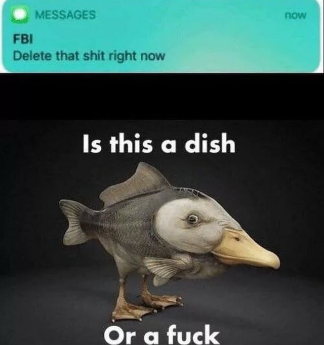 fbi delete that shit - now Messages Fbi Delete that shit right now Is this a dish Or a fuck