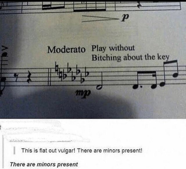 play without bitching about the key - Moderato Play without Bitching about the key my This is flat out vulgar! There are minors present! There are minors present