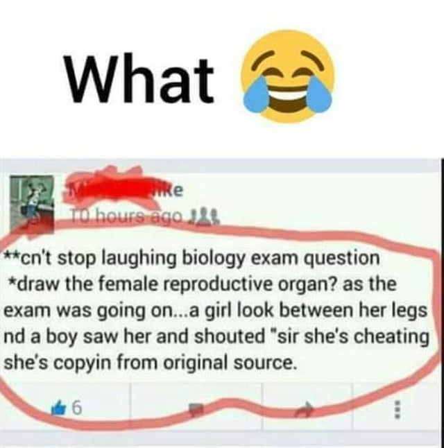 smile - What cn't stop laughing biology exam question draw the female reproductive organ? as the exam was going on...a girl look between her legs nd a boy saw her and shouted "sir she's cheating she's copyin from original source.
