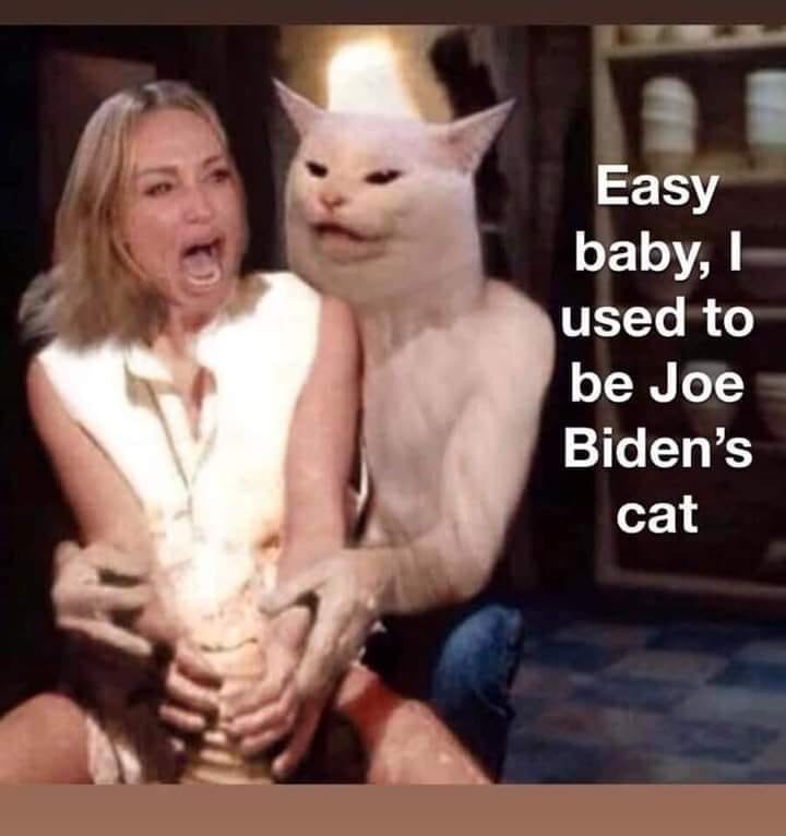 restraining order meme this shit - Easy baby, l used to be Joe Biden's cat