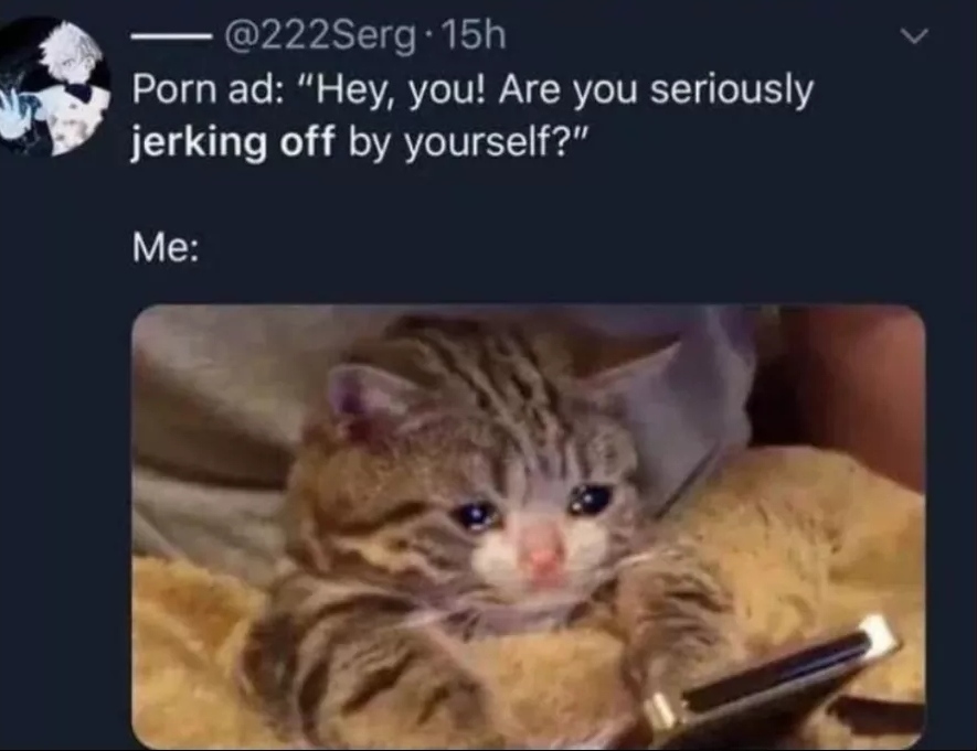 sad kitten meme - .15h Porn ad "Hey, you! Are you seriously jerking off by yourself?" Me