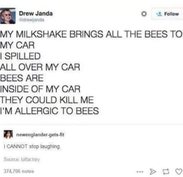 milkshake brings all the bees to my car - Drew Janda drowjanda My Milkshake Brings All The Bees To My Car I Spilled All Over My Car Bees Are Inside Of My Car They Could Kill Me I'M Allergic To Bees newenglandergetsfit I Cannot stop laughing Source lolfact