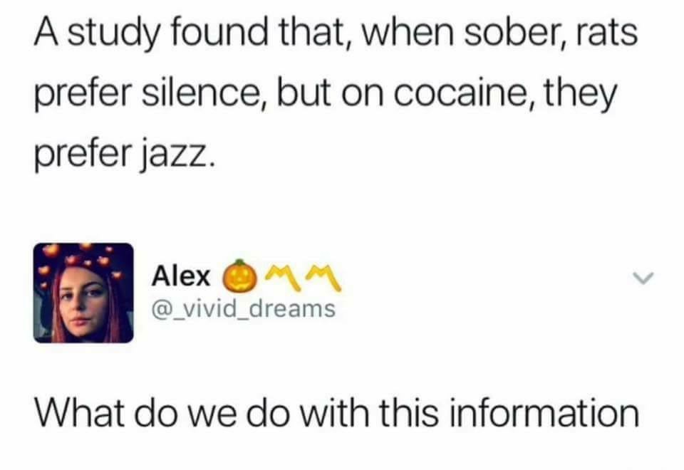 spicy memes - A study found that, when sober, rats prefer silence, but on cocaine, they prefer jazz. Alex What do we do with this information