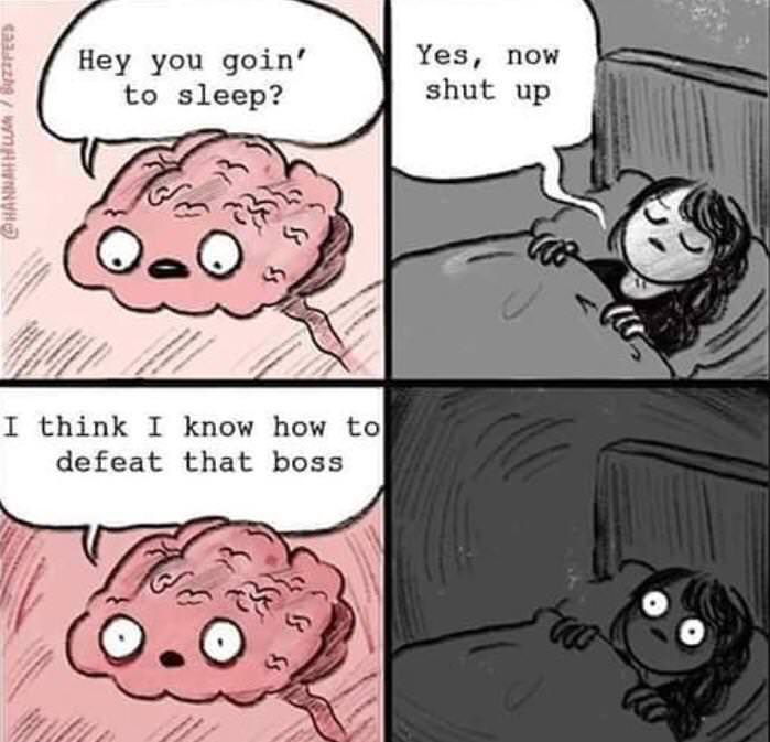 brain sleep meme - Hey you goin' to sleep? Yes, now shut up Hannah Humbuzzfee I think I know how to defeat that boss 3 Ss