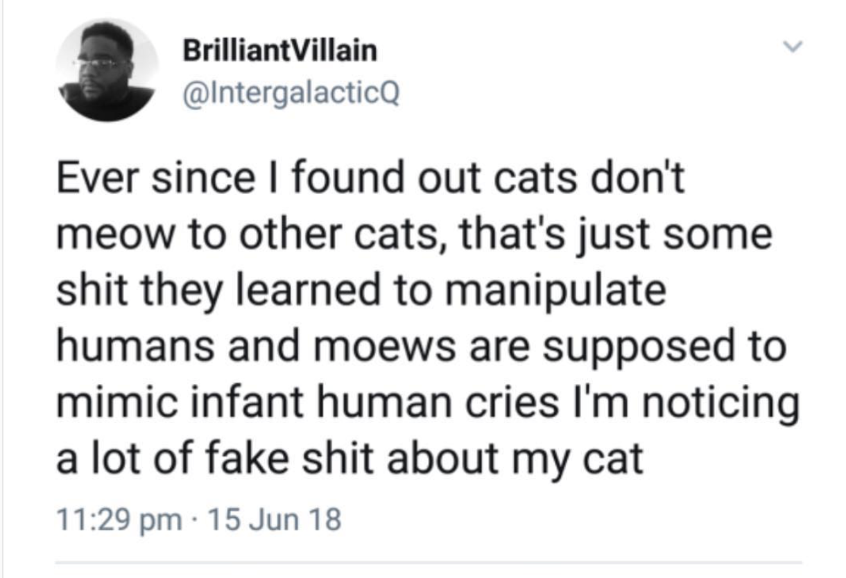 diagram - BrilliantVillain Ever since I found out cats don't meow to other cats, that's just some shit they learned to manipulate humans and moews are supposed to mimic infant human cries I'm noticing a lot of fake shit about my cat 15 Jun 18