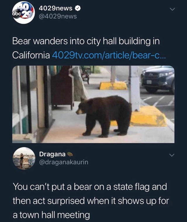 california bear city hall meme - 40 abc 4029news Bear wanders into city hall building in California 4029tv.comarticlebearC... Dragana You can't put a bear on a state flag and then act surprised when it shows up for a town hall meeting