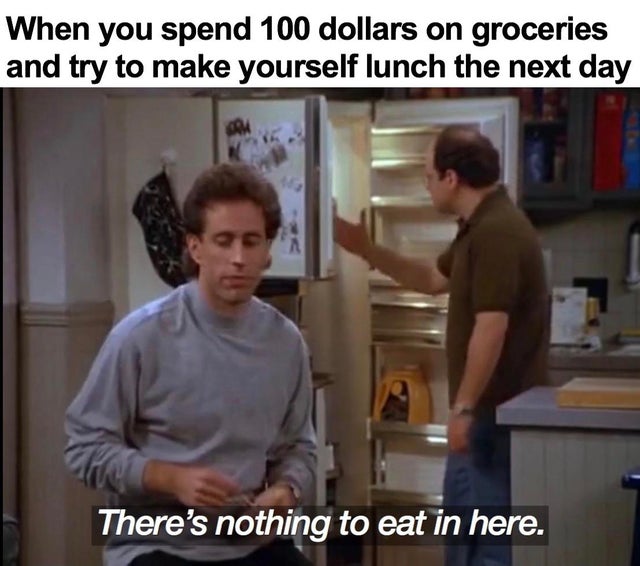 tnomod memes - When you spend 100 dollars on groceries and try to make yourself lunch the next day There's nothing to eat in here.