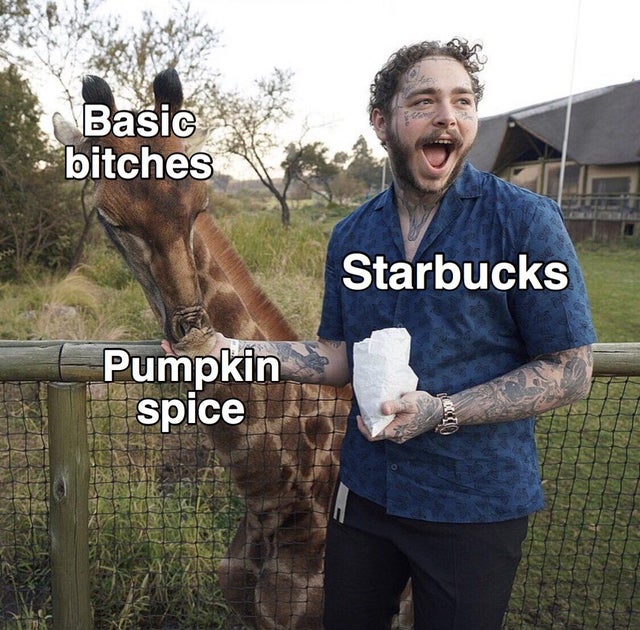post malone with giraffe - Basic bitches Starbucks Pumpkin spice