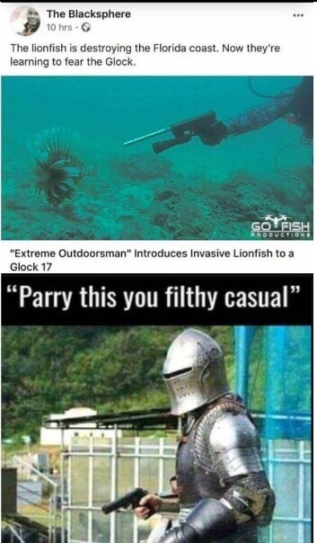 parry this you filthy casual - The Blacksphere 10 hrs. The lionfish is destroying the Florida coast. Now they're learning to fear the Glock. Gofish "Extreme Outdoorsman" Introduces Invasive Lionfish to a Glock 17 Parry this you filthy casual
