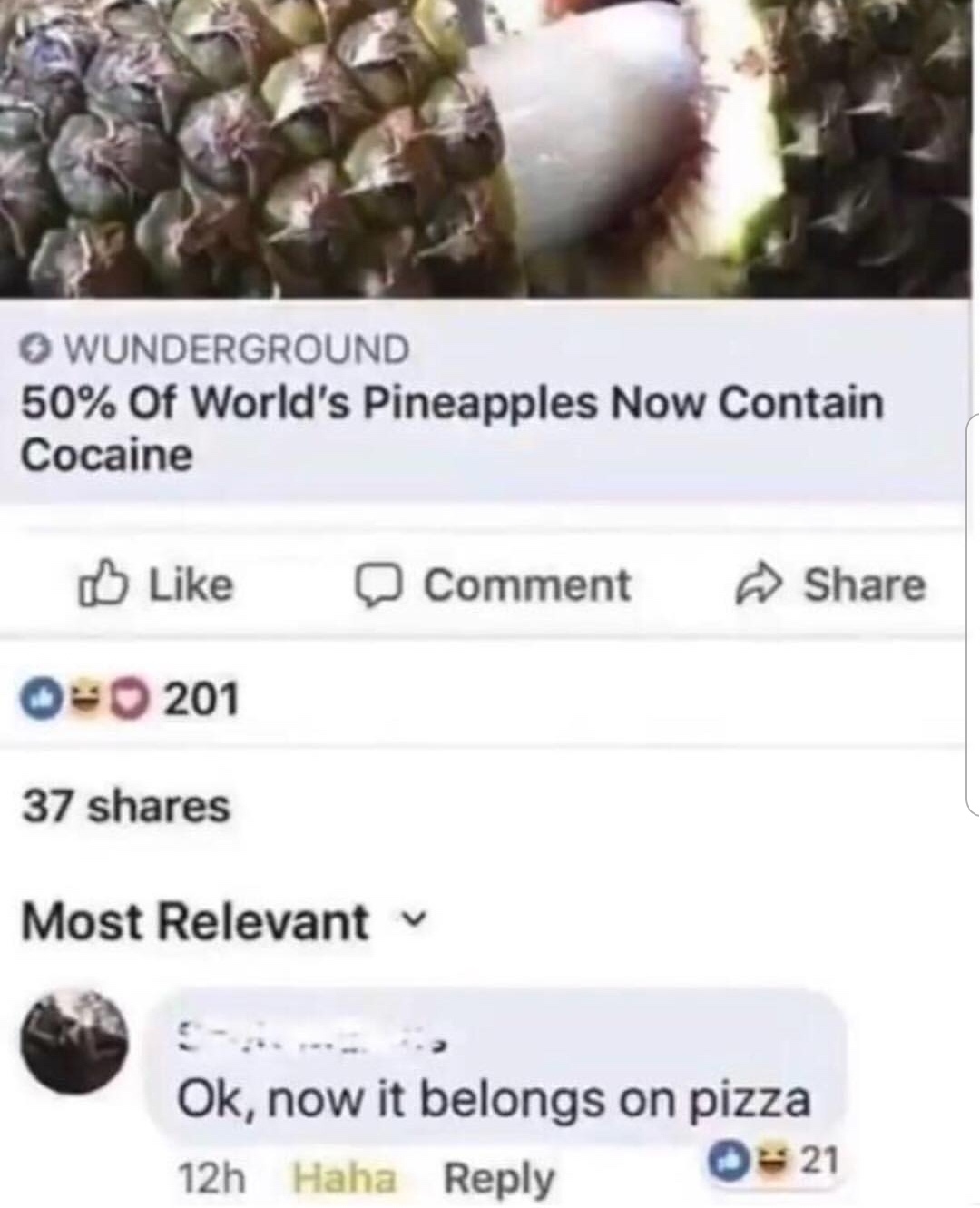 pineapple cocaine pizza meme - Wunderground 50% Of World's Pineapples Now Contain Cocaine Comment 0 201 37 Most Relevant Ok, now it belongs on pizza 21 12h Haha