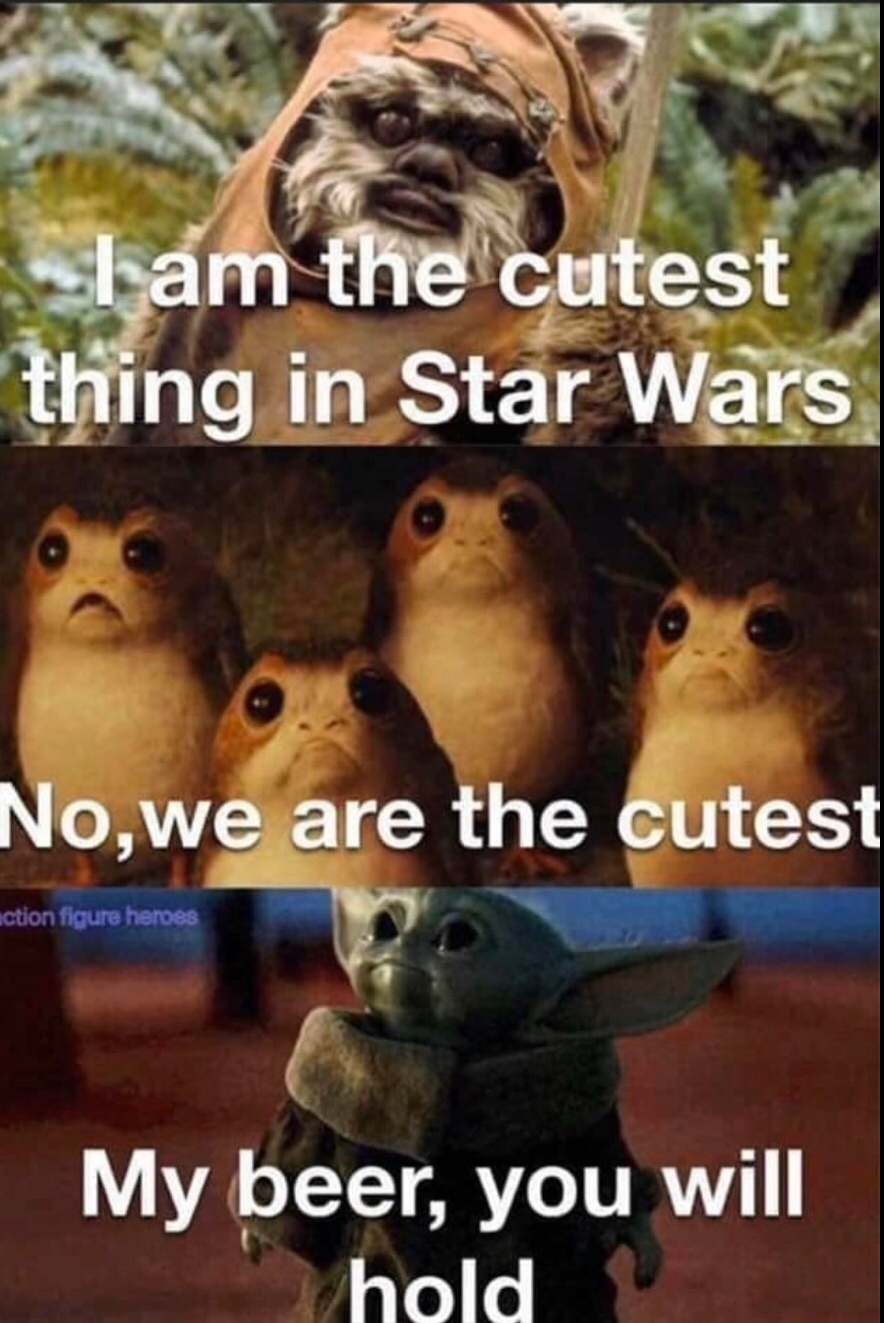 baby yoda meme cutest star wars - Tam the cutest thing in Star Wars No,we are the cutest uction figure heroes My beer, you will hold
