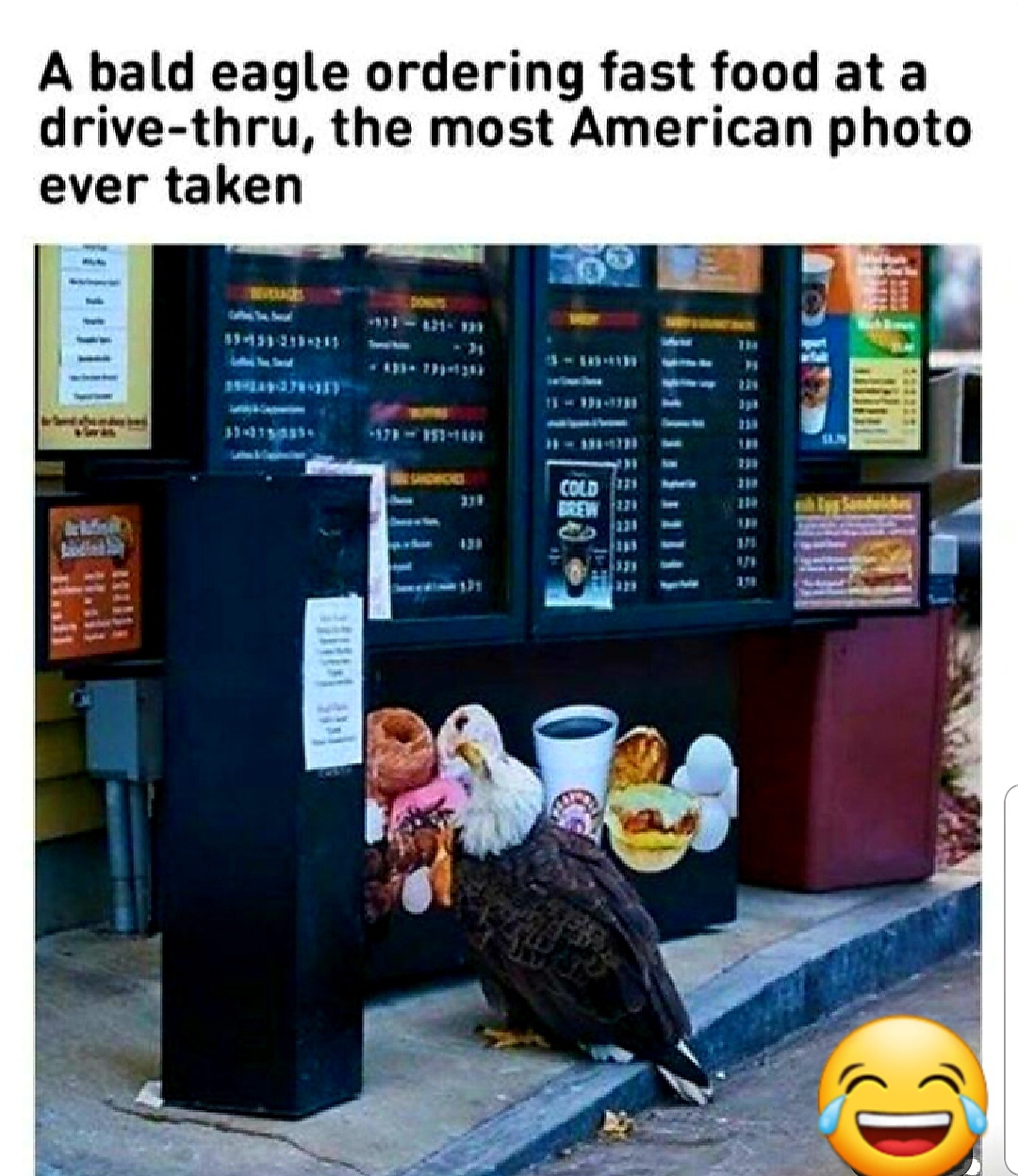 most american thing meme - A bald eagle ordering fast food at a drivethru, the most American photo ever taken 1113111 16 11401110