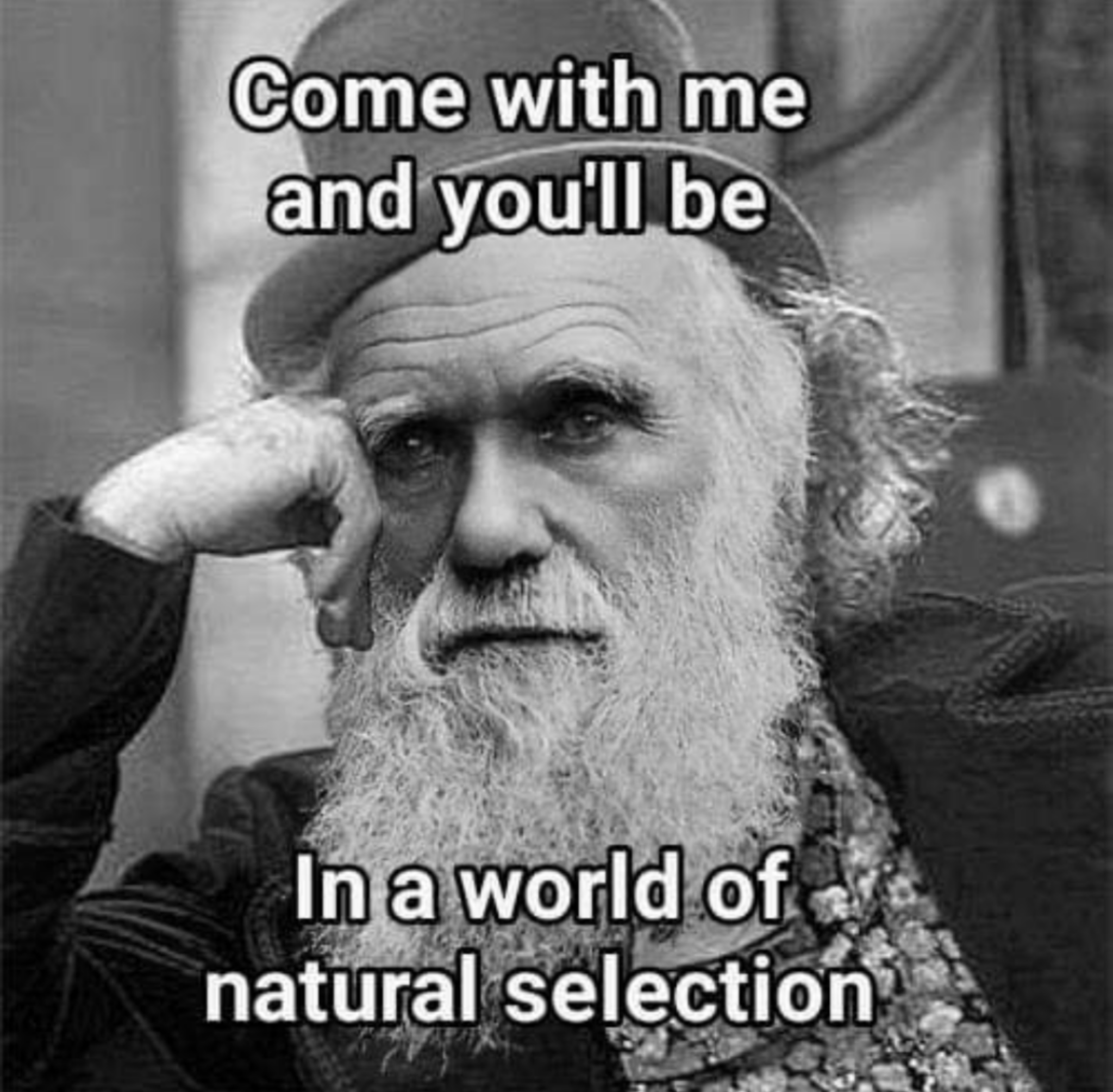 willy wonka meme - Come with me and you'll be In a world of natural selection