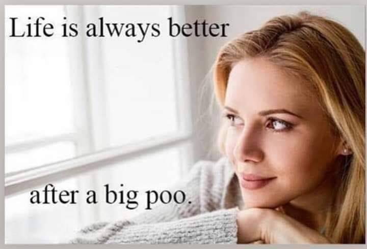 wise words funny - Life is always better after a big poo.