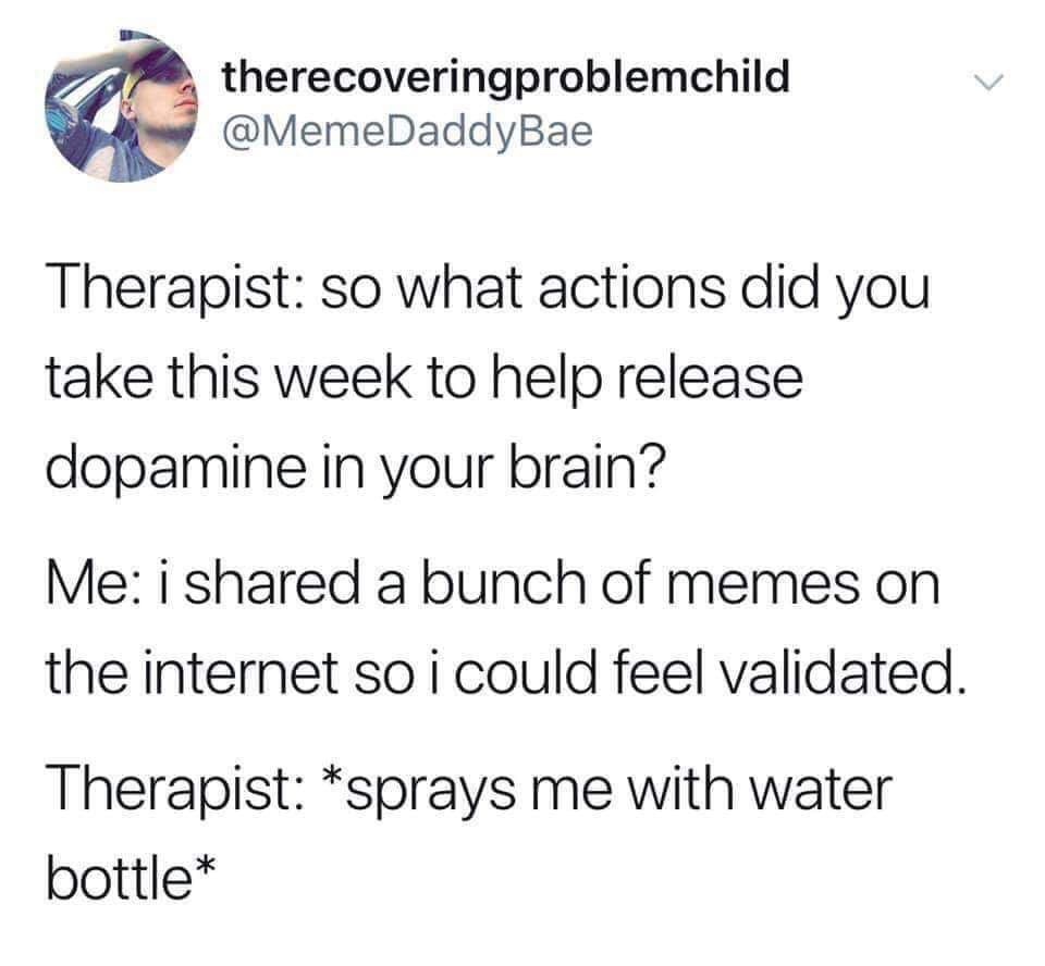 dopamine meme - therecoveringproblemchild Therapist so what actions did you take this week to help release dopamine in your brain? Me i d a bunch of memes on the internet so i could feel validated. Therapist sprays me with water bottle
