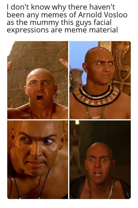 mummy memes - I don't know why there haven't been any memes of Arnold Vosloo as the mummy this guys facial expressions are meme material