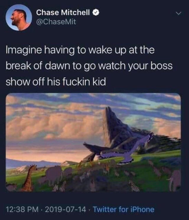 lion king circle of life - Chase Mitchell Mit Imagine having to wake up at the break of dawn to go watch your boss show off his fuckin kid . Twitter for iPhone