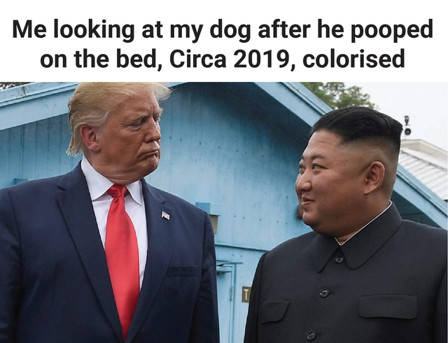 donald trump and kim jong un - Me looking at my dog after he pooped on the bed, Circa 2019, colorised