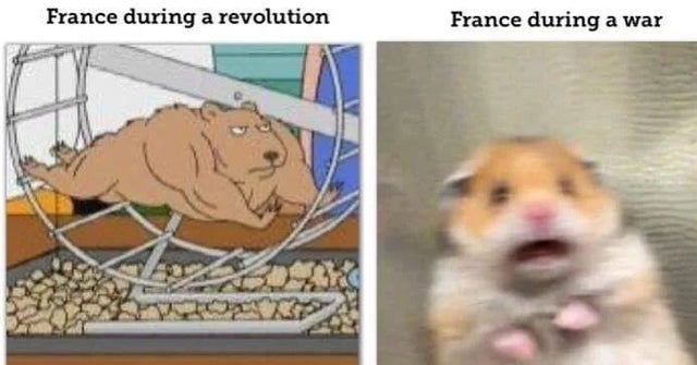 france during a revolution france during a war meme - France during a revolution France during a war