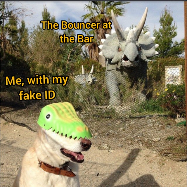 dog wearing dinosaur mask - The Bouncer at the Bar Me, with my fake Id
