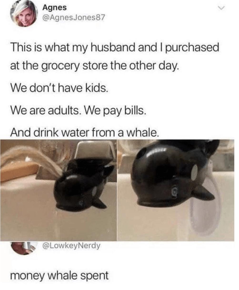 money whale spent - Agnes Jones87 This is what my husband and I purchased at the grocery store the other day. We don't have kids. We are adults. We pay bills. And drink water from a whale. 1 money whale spent