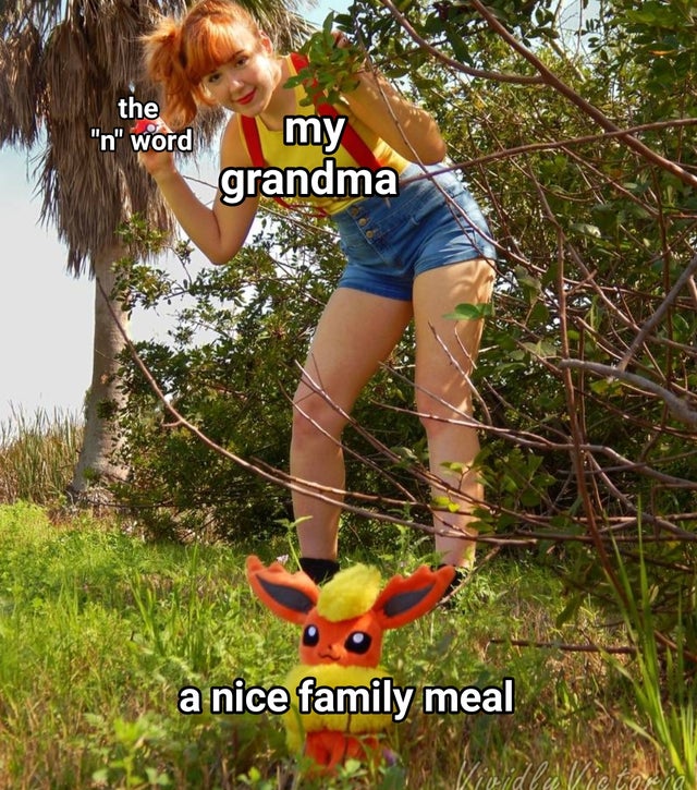 grandma n word meme - the "n" word my grandma a nice family meal