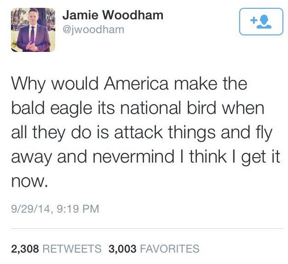 funny twitter posts about girls - Jamie Woodham Why would America make the bald eagle its national bird when all they do is attack things and fly away and nevermind I think I get it now. 92914, 2,308 3,003 Favorites