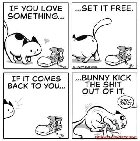 cartoon - If You Love Something... ...Set It Free, Pan Alcastleneloom If It Comes Back To You... ..Bunny Kick The Shit Out Of It, Stop That! Patreslo Howtocat