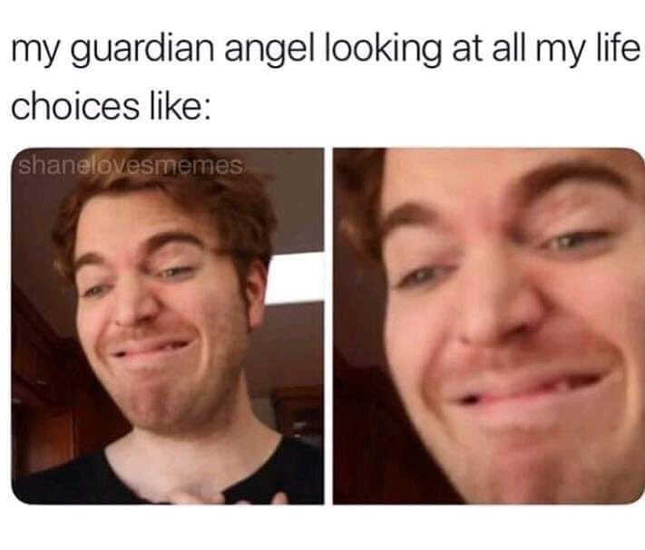 funny relatable memes - my guardian angel looking at all my life choices shanelovesmemes