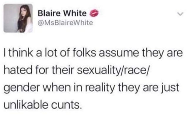 Blaire White White I think a lot of folks assume they are hated for their sexualityrace gender when in reality they are just unlikable cunts.
