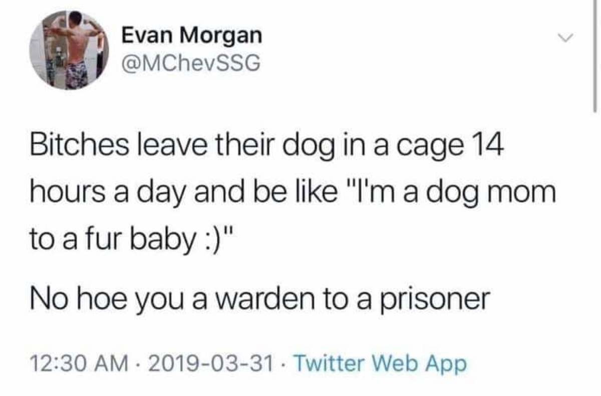 gen x millennials gen z meme - Evan Morgan Bitches leave their dog in a cage 14 hours a day and be I'm a dog mom to a fur baby " No hoe you a warden to a prisoner Twitter Web App