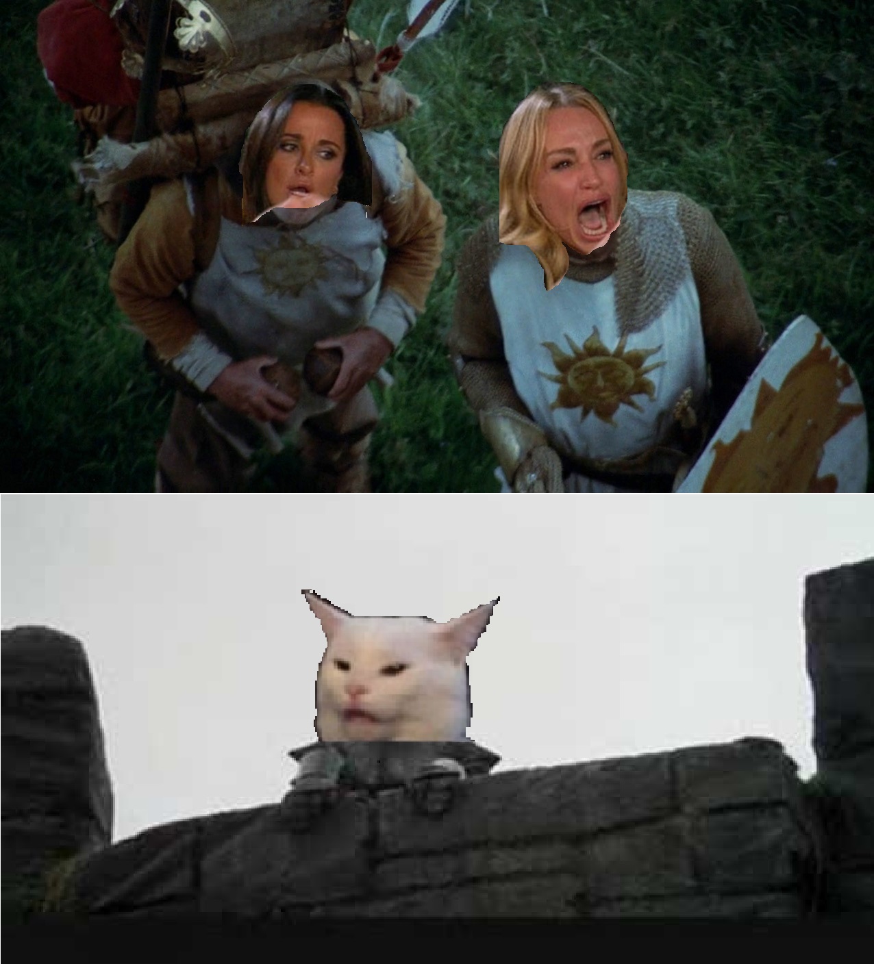 monty python and the holy grail woman yelling at cat meme