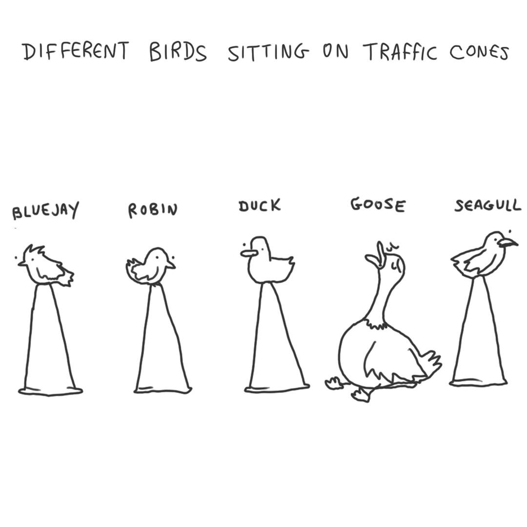 different birds sitting on traffic cones - Different Birds Sitting On Traffic Cones Bluejay Robin Duck Goose Seagull Dt