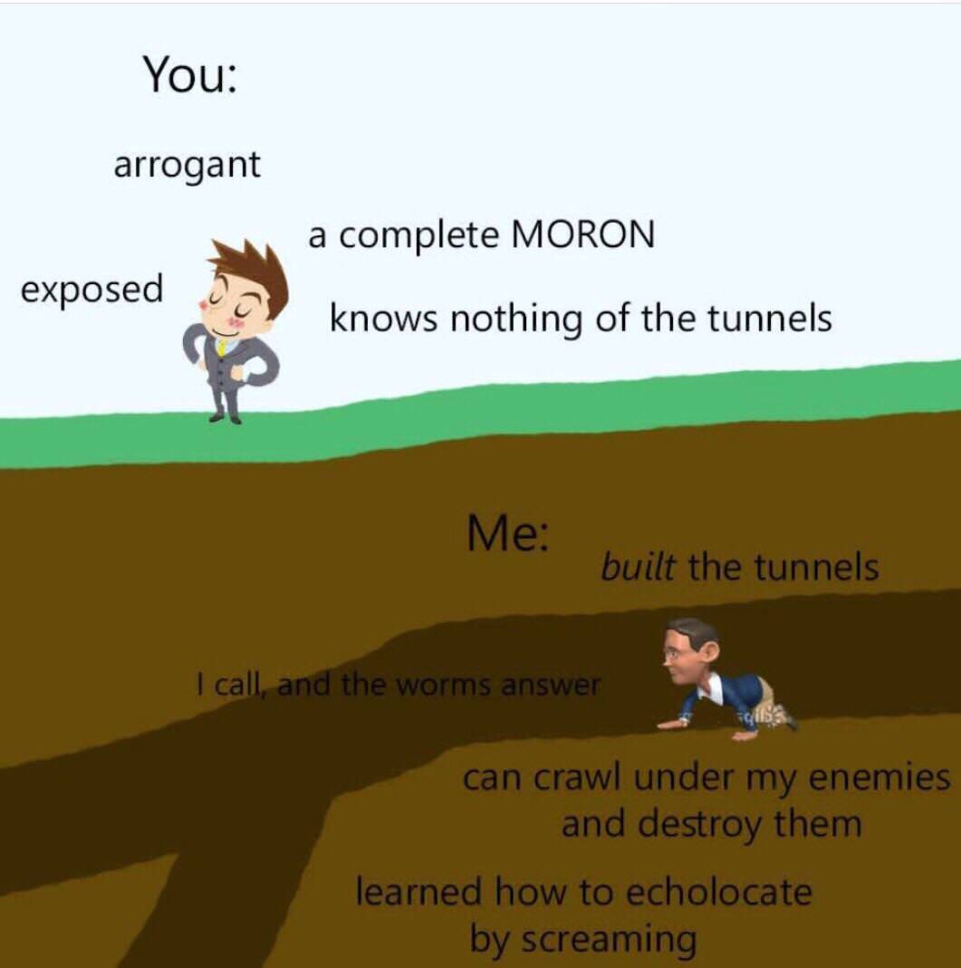 tunnels meme - You arrogant a complete Moron exposed knows nothing of the tunnels Me built the tunnels I call, and the worms answer diss can crawl under my enemies and destroy them learned how to echolocate by screaming