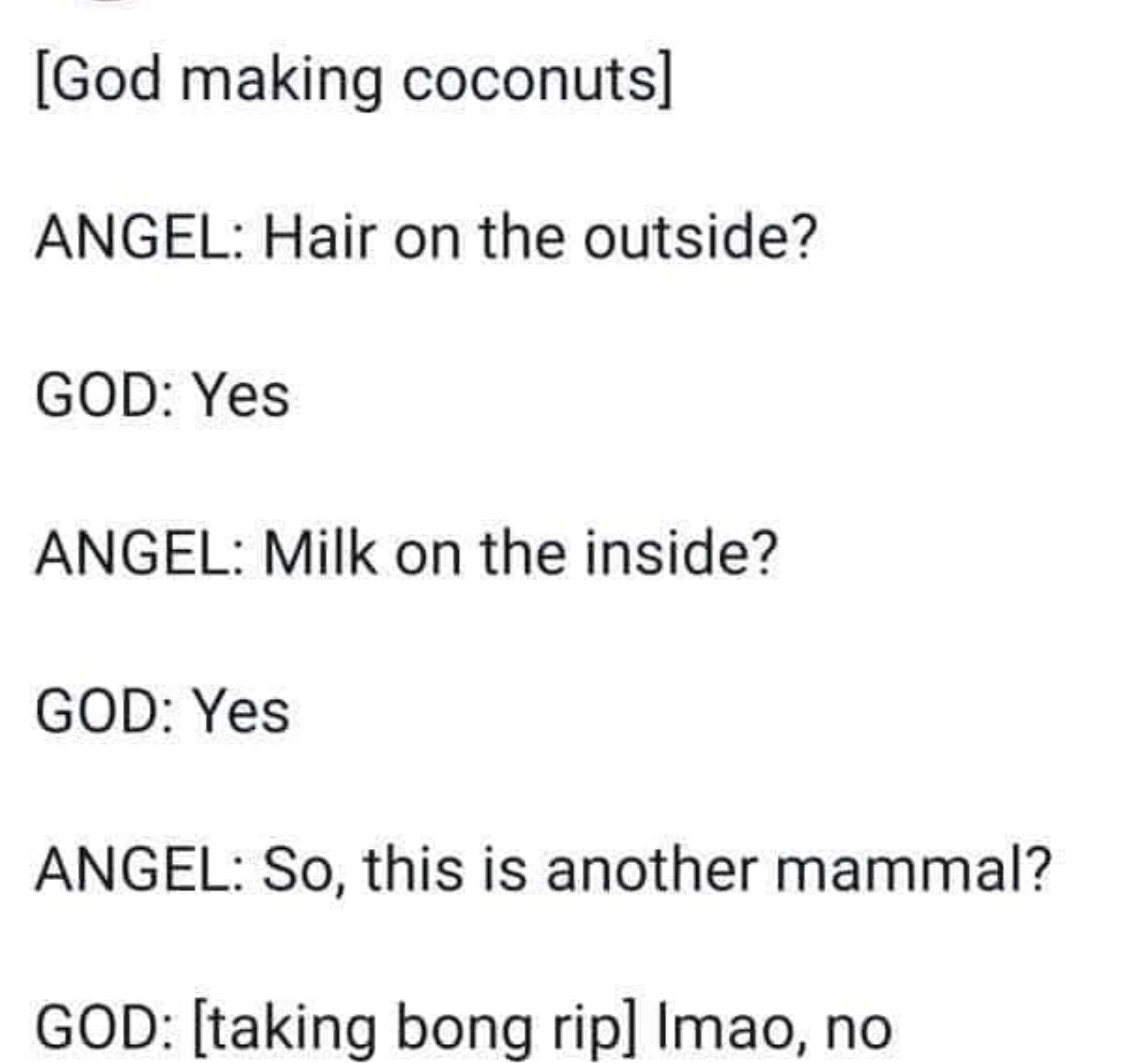 angle - God making coconuts Angel Hair on the outside? God Yes Angel Milk on the inside? God Yes Angel So, this is another mammal? God taking bong rip Imao, no