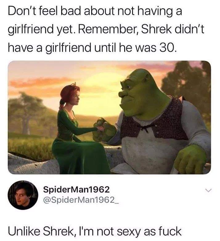 shrek girlfriend meme - Don't feel bad about not having a girlfriend yet. Remember, Shrek didn't have a girlfriend until he was 30. SpiderMan1962 Un Shrek, I'm not sexy as fuck